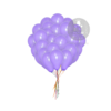 Plain Purple Latex Balloons